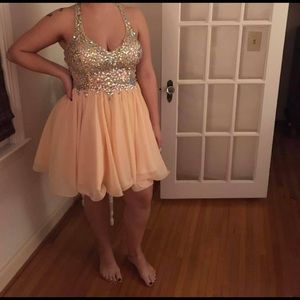 Short Dress for Halloween/Prom (Princess/Fairy)